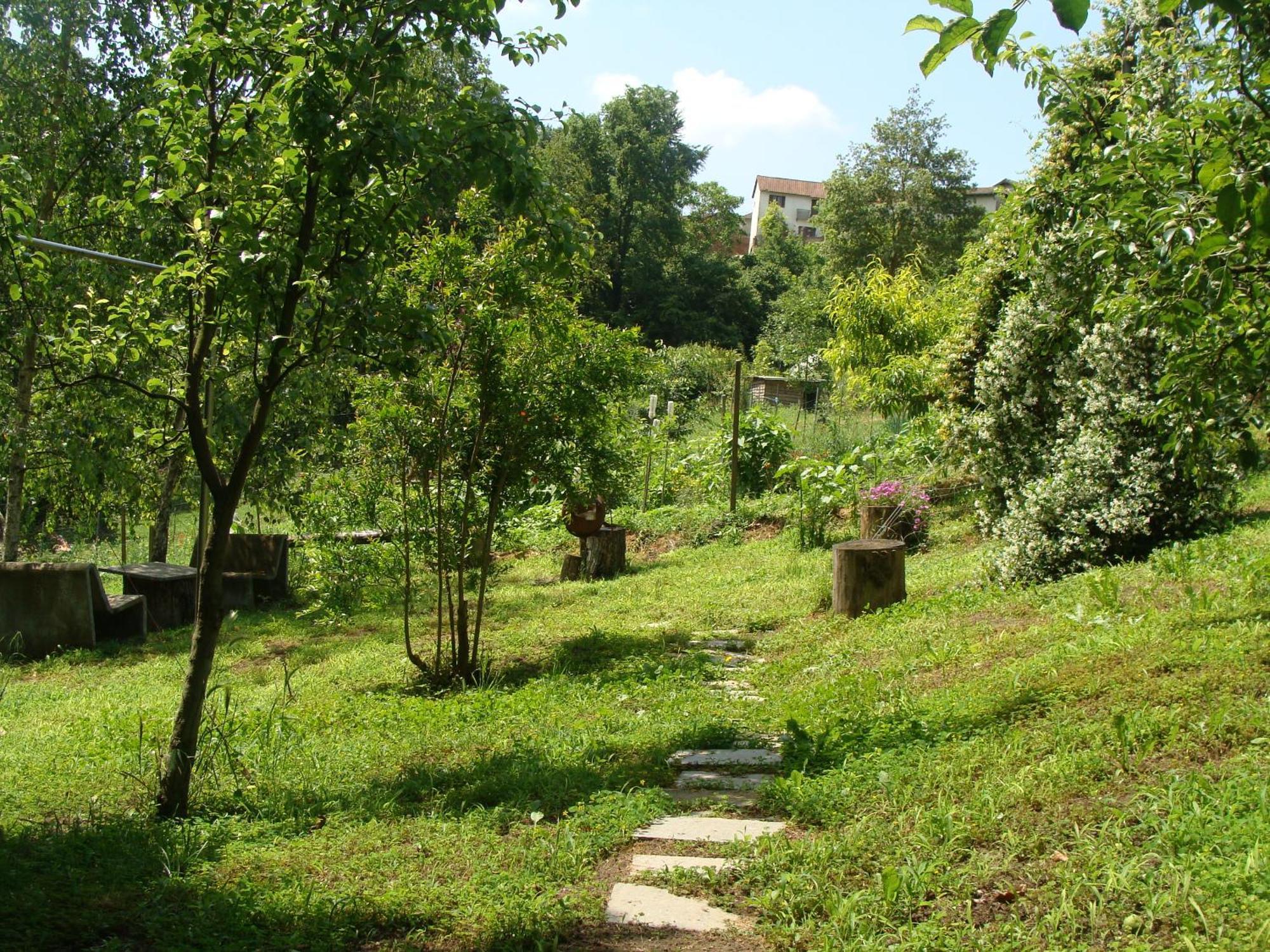 Appartamento In Monferrato Di Dominga Portacomaro Exterior photo