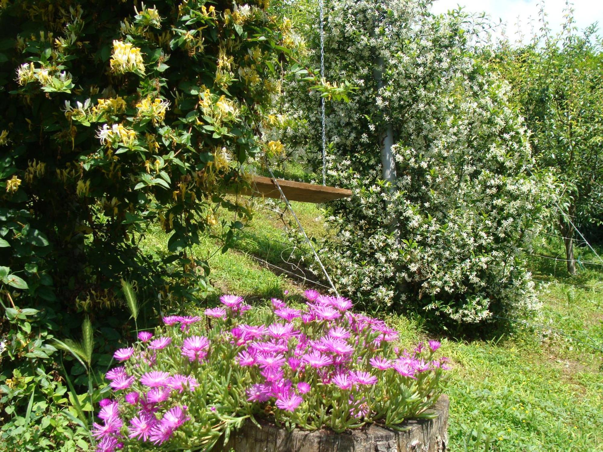 Appartamento In Monferrato Di Dominga Portacomaro Exterior photo